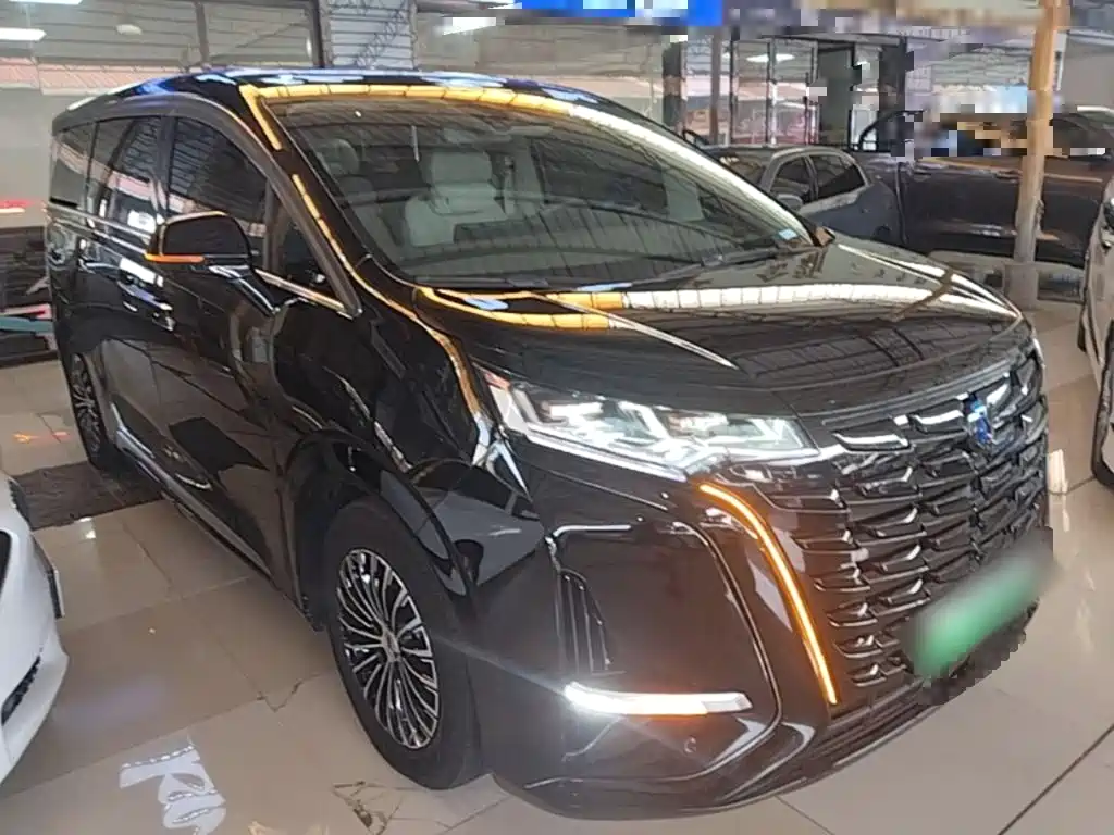 Denza Denza D9 — миниатюра 4