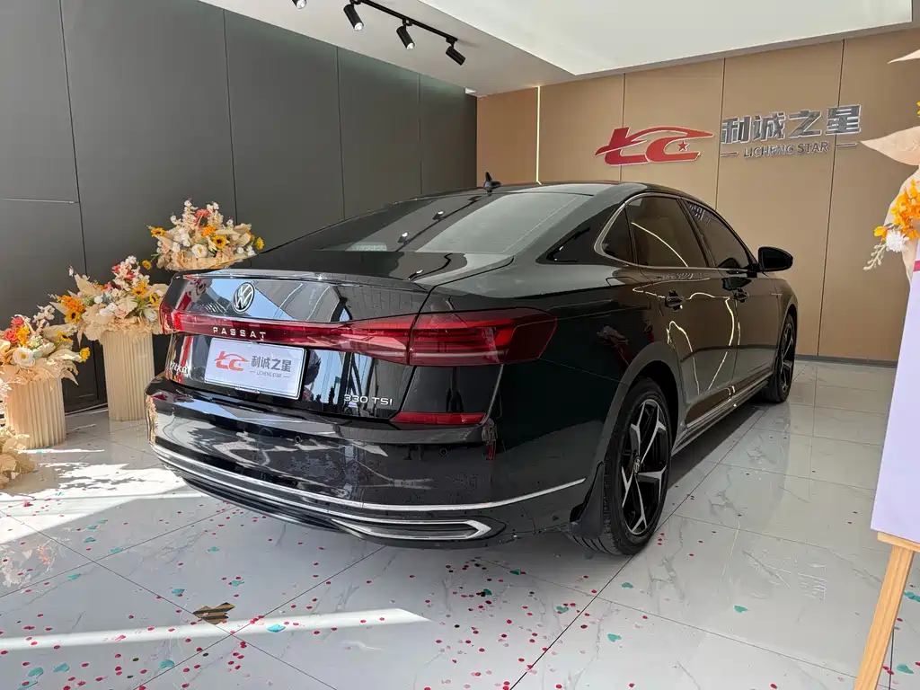 Volkswagen Passat — миниатюра 9