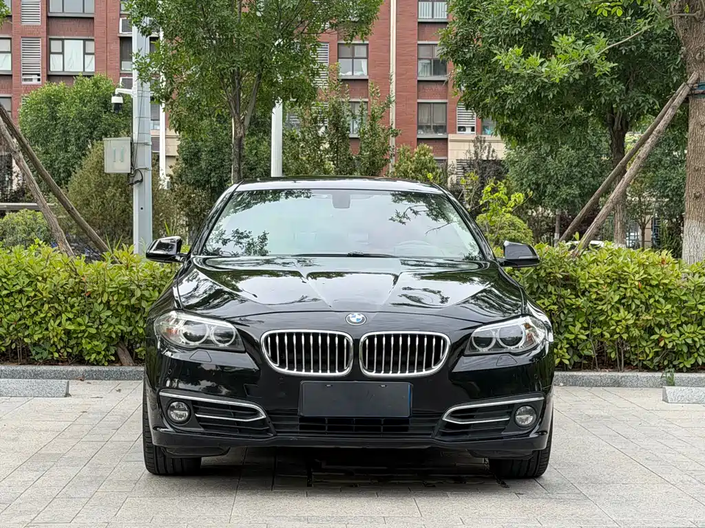 BMW 5 Series 5 2014 525Li Luxury