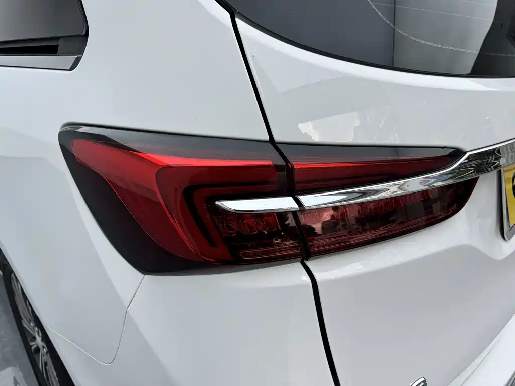 Buick GL8 — миниатюра 14