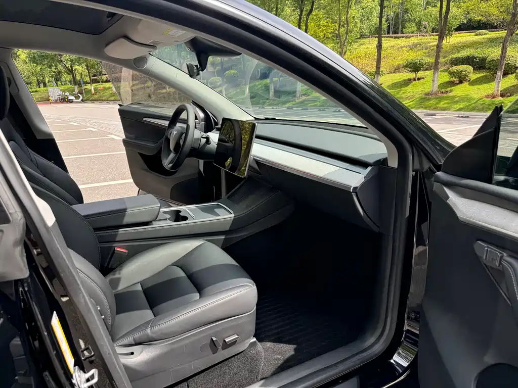 Tesla Model Y — миниатюра 9