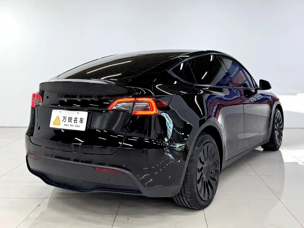 Tesla Model Y — миниатюра 3