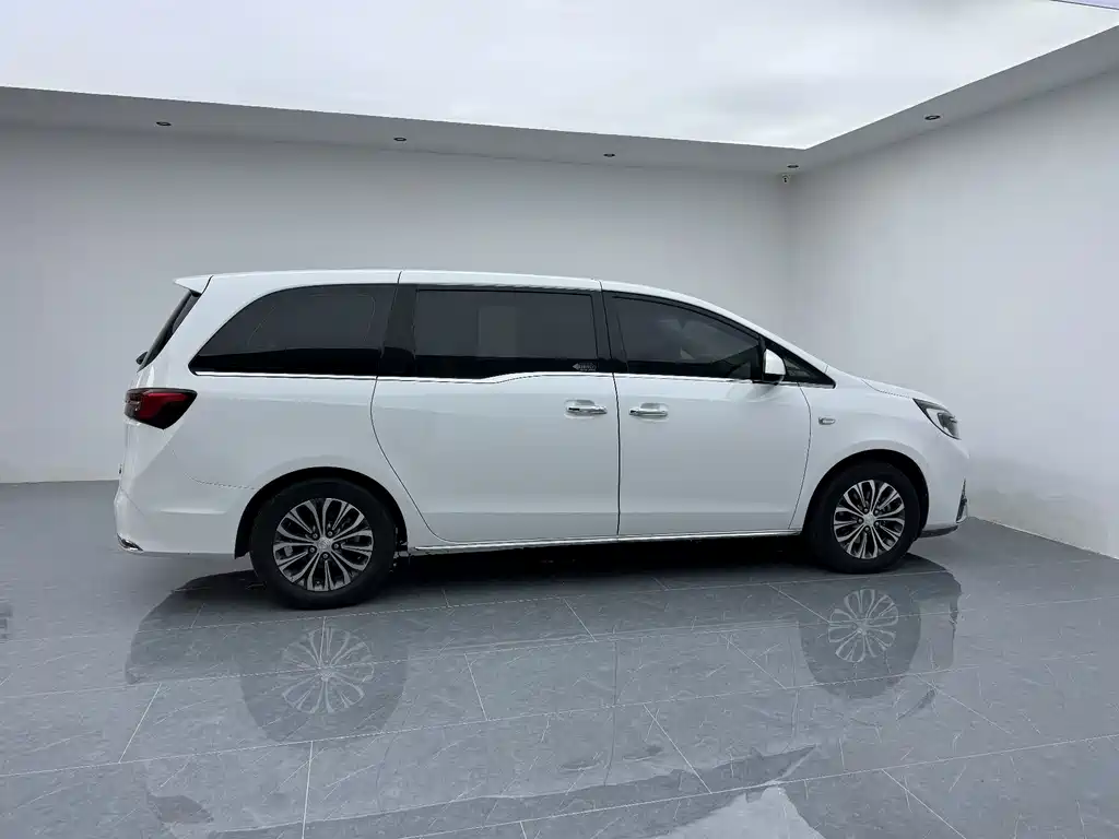 Buick GL8 — миниатюра 21