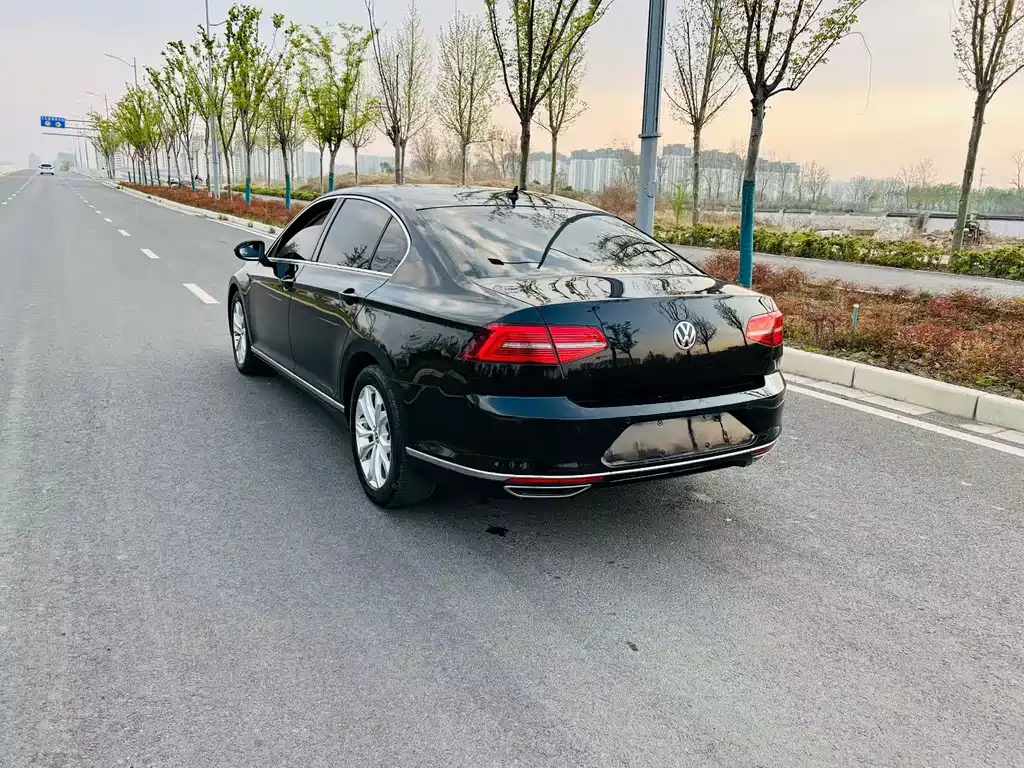 Volkswagen Magotan 2019 330TSI DSG Luxury VI