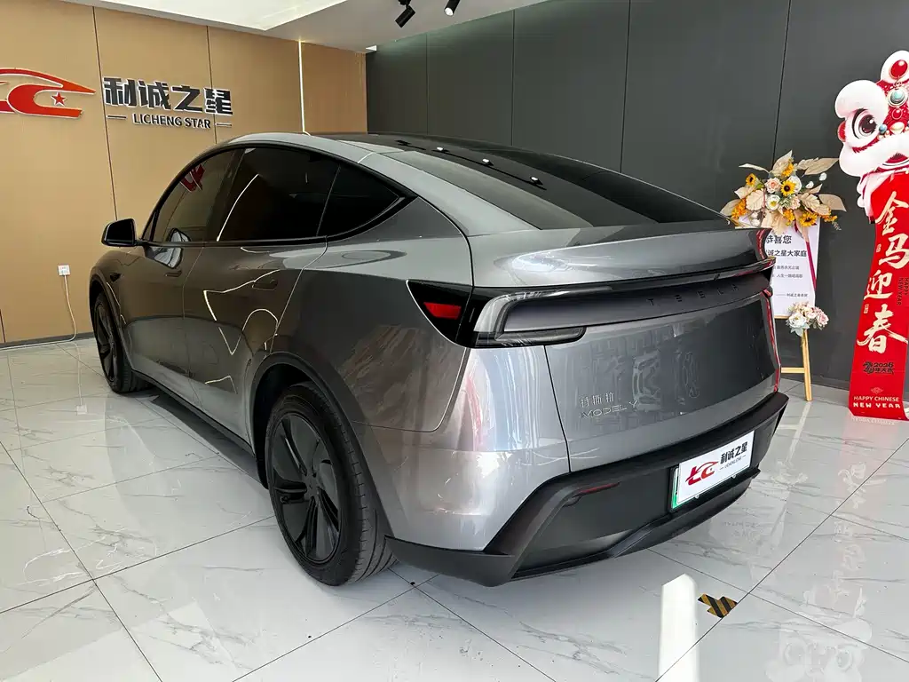 Tesla Model Y — миниатюра 6
