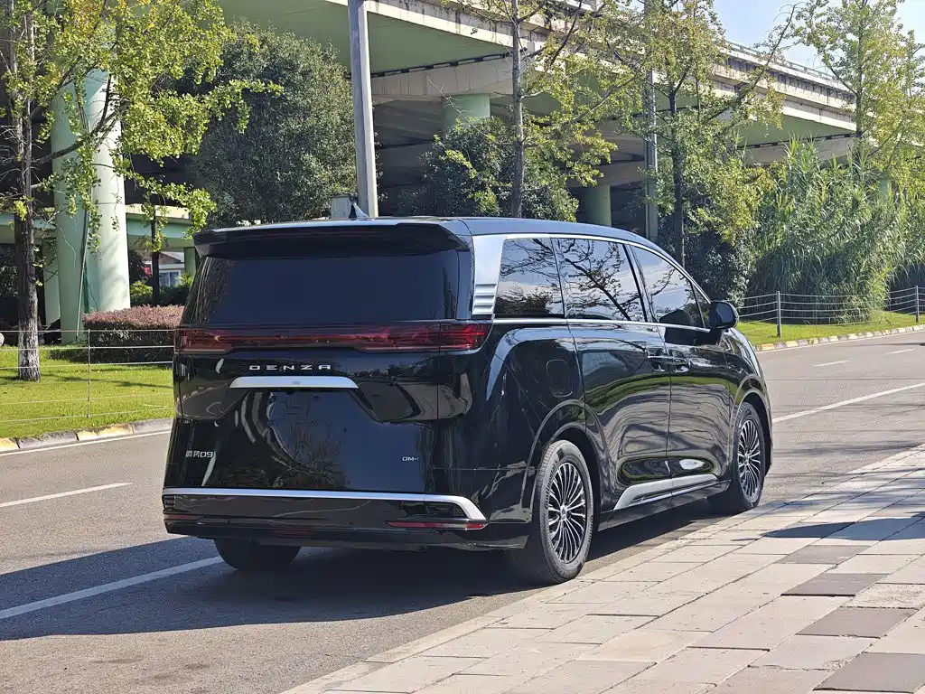 Denza Denza D9 — миниатюра 7