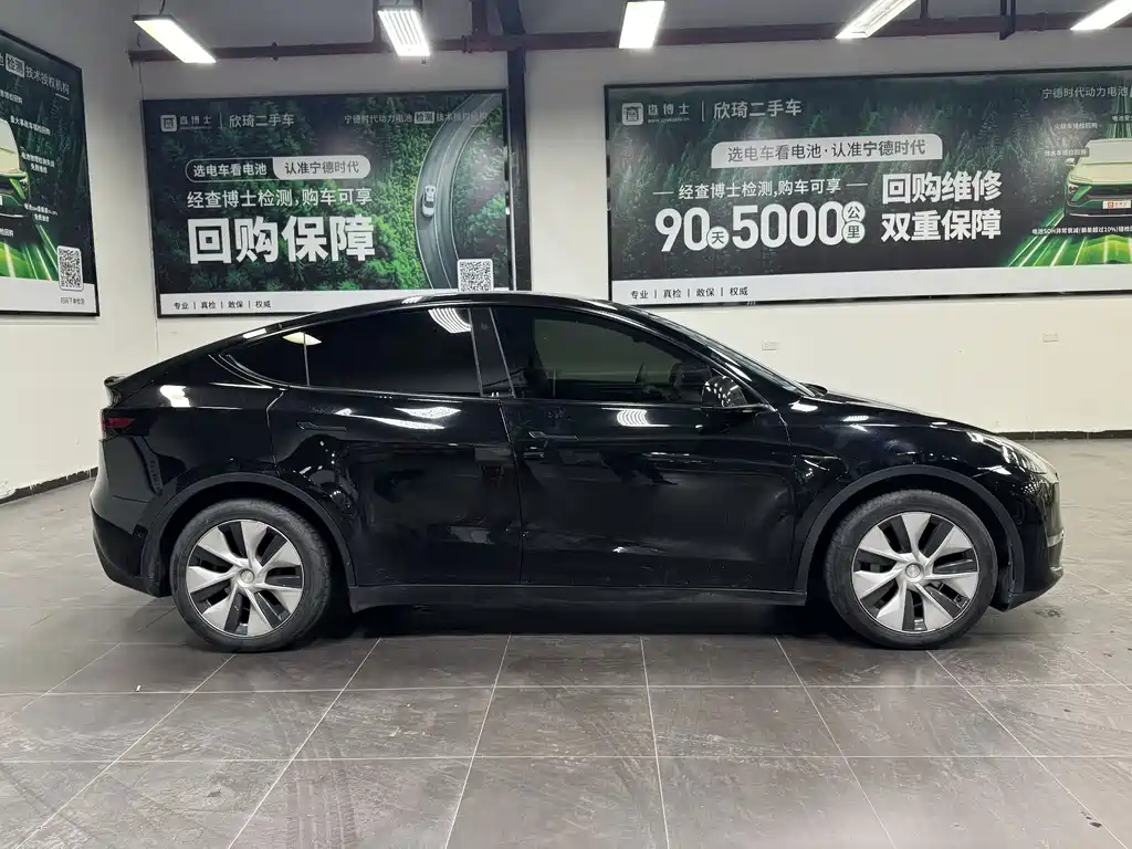 Tesla Model Y — миниатюра 4