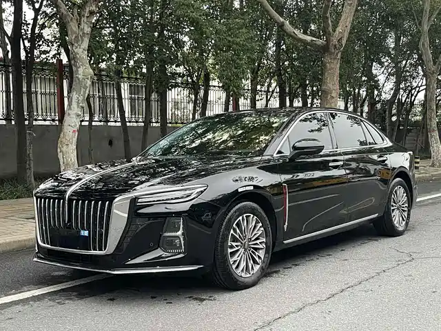 RED FLAG HONGQI H5 2024