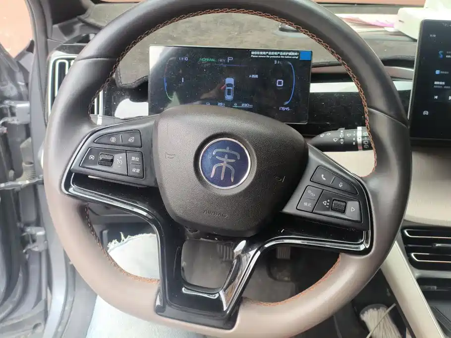 BYD Pro New Energy — миниатюра 15