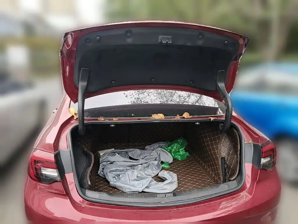 Buick Regal — миниатюра 24