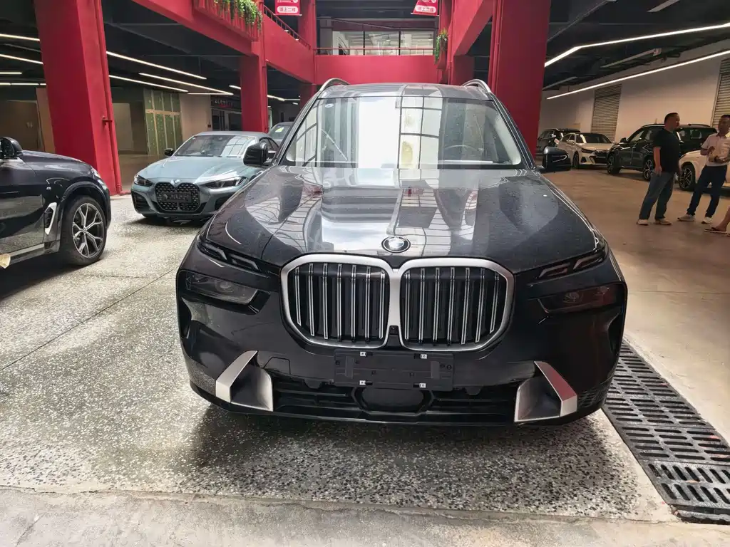 BMW X7 — миниатюра 2