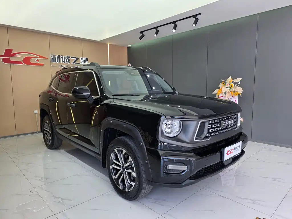 Haval Big Dog PLUS — миниатюра 3