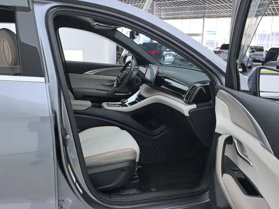 BYD Pro New Energy — миниатюра 8