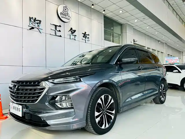 2020 Wuling Motors Victory