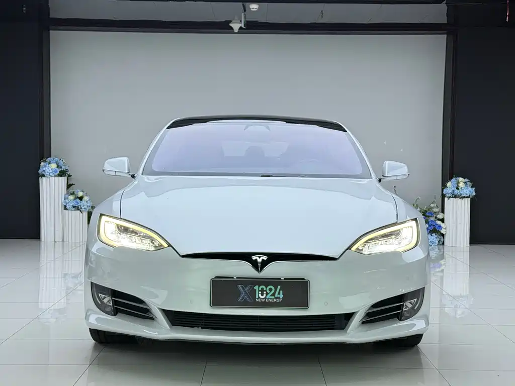 Tesla Model S — миниатюра 2