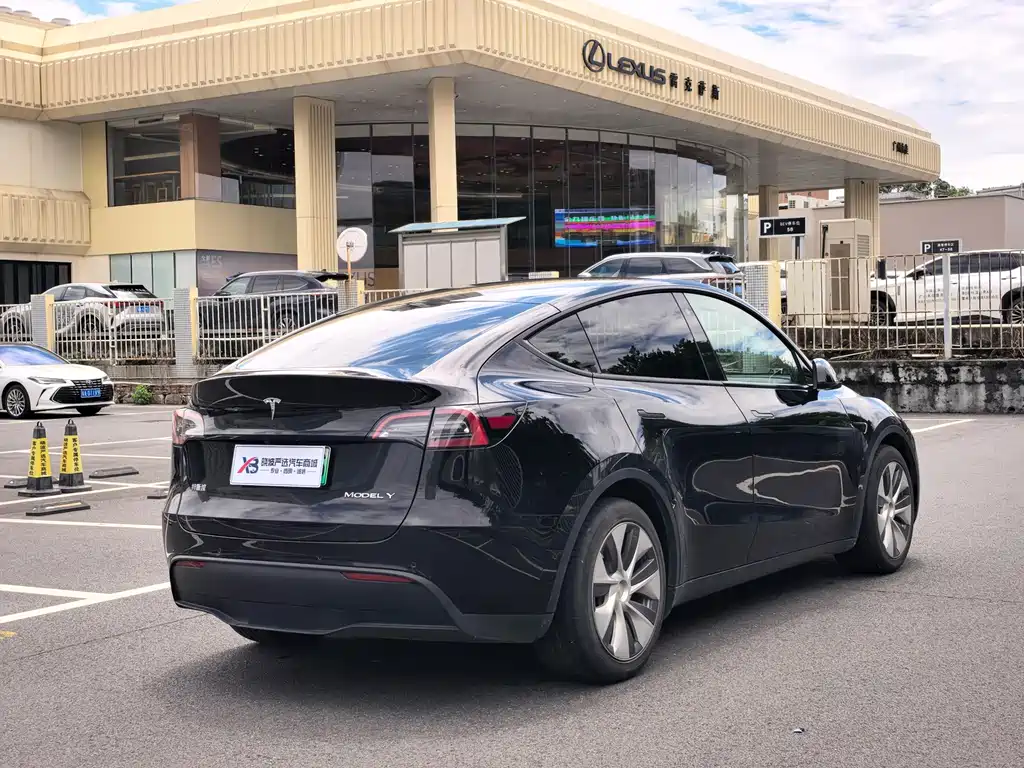 Tesla Model Y — миниатюра 5