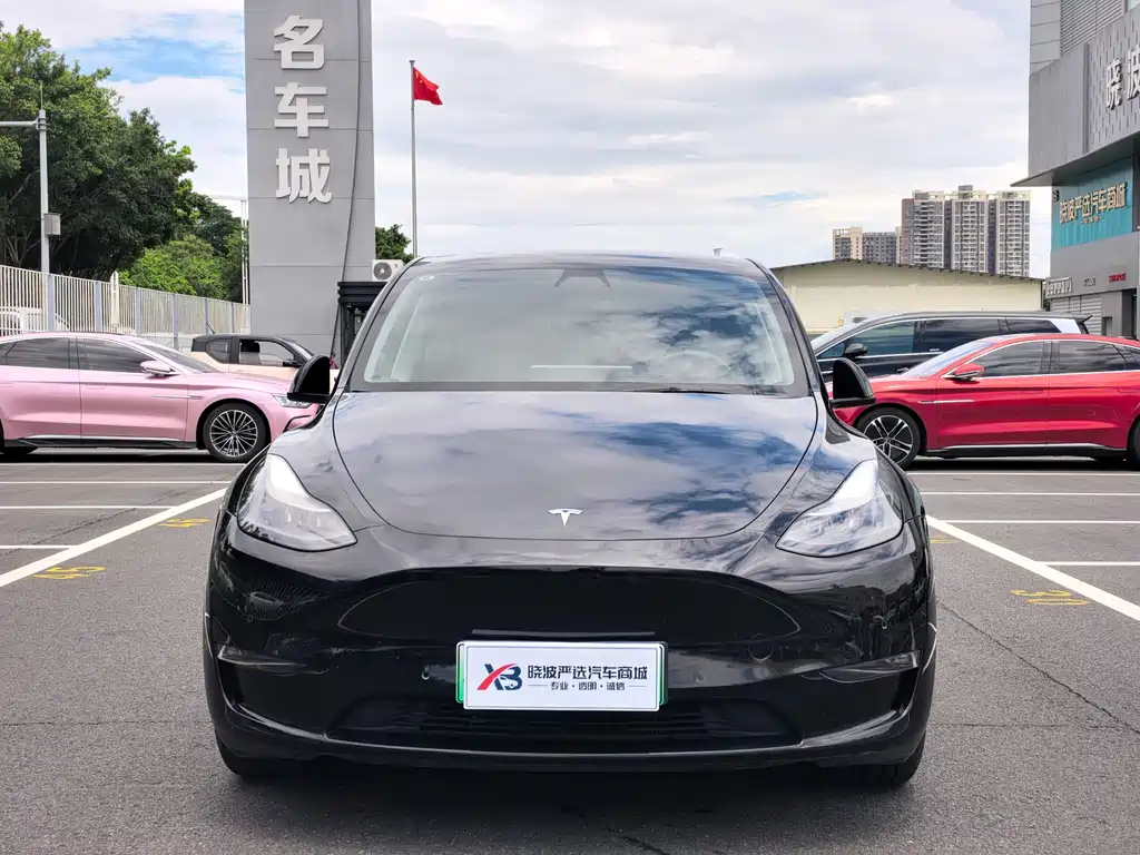 Tesla Model Y — миниатюра 2