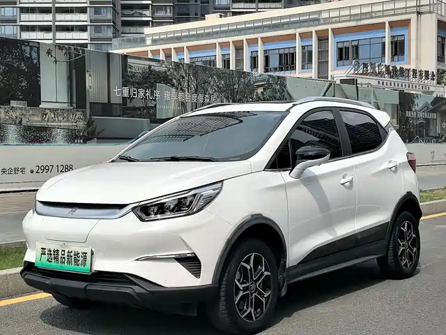 BYD Yuan Pro