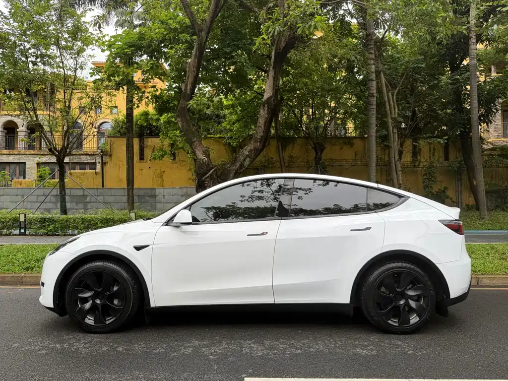 Tesla Model Y — миниатюра 2