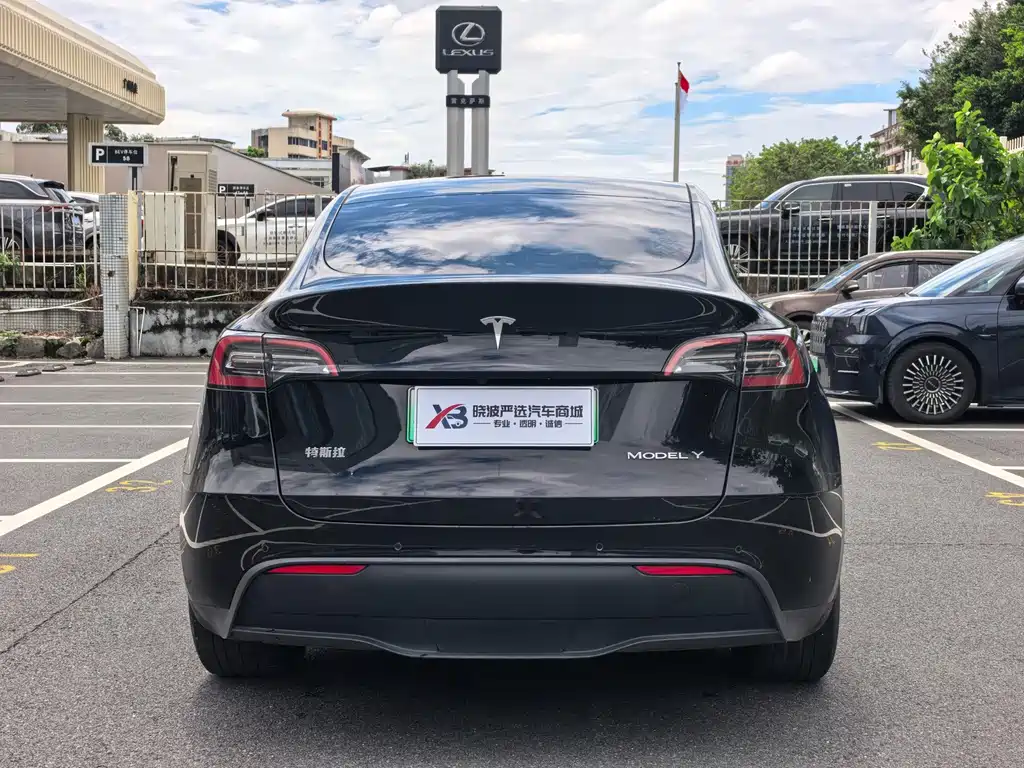 Tesla Model Y — миниатюра 6