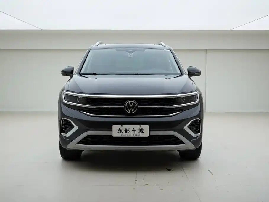 Volkswagen Talagon — миниатюра 2