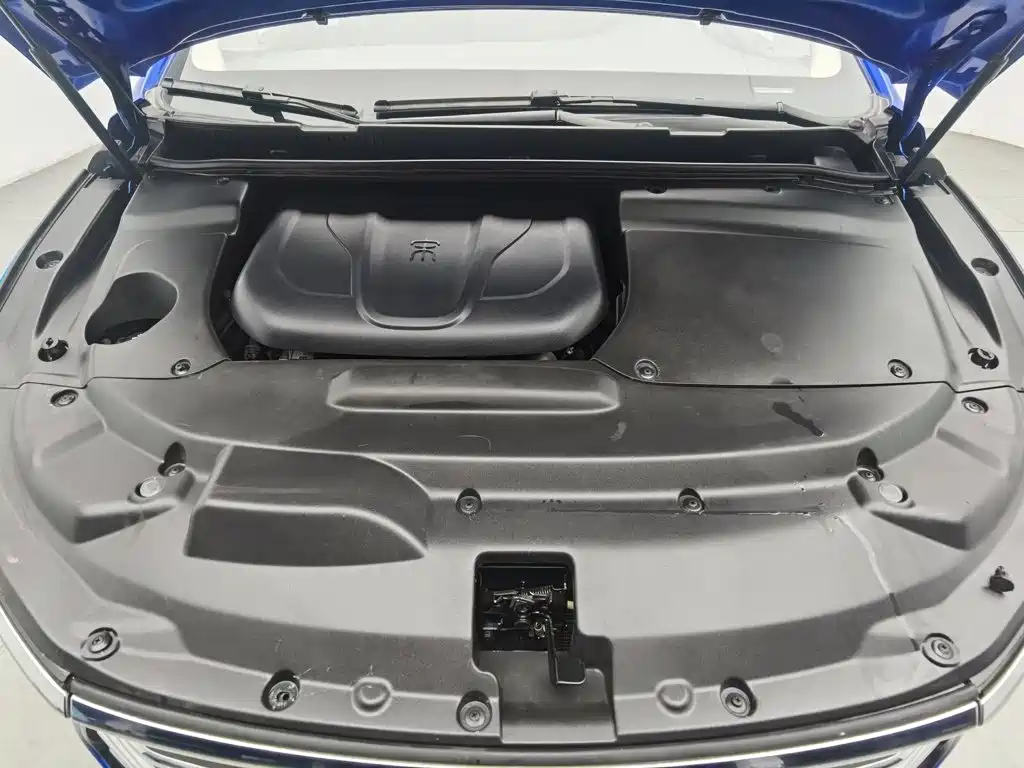 BYD MAX — миниатюра 6