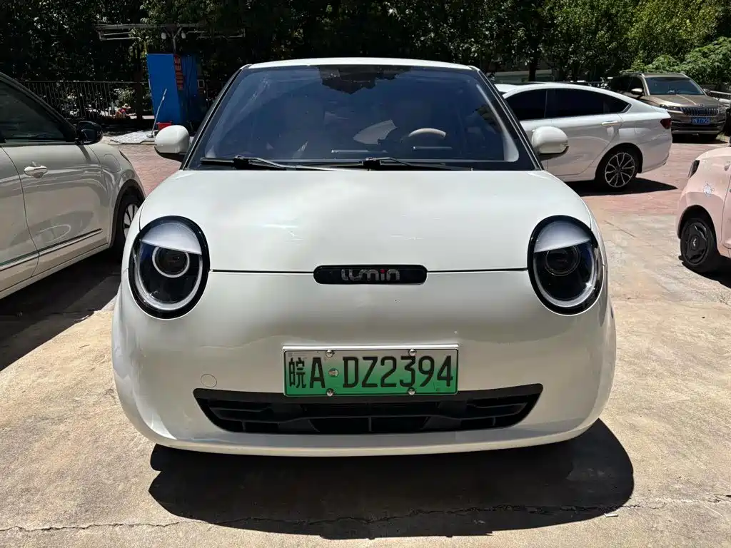 Qiyuan Lumin — миниатюра 2