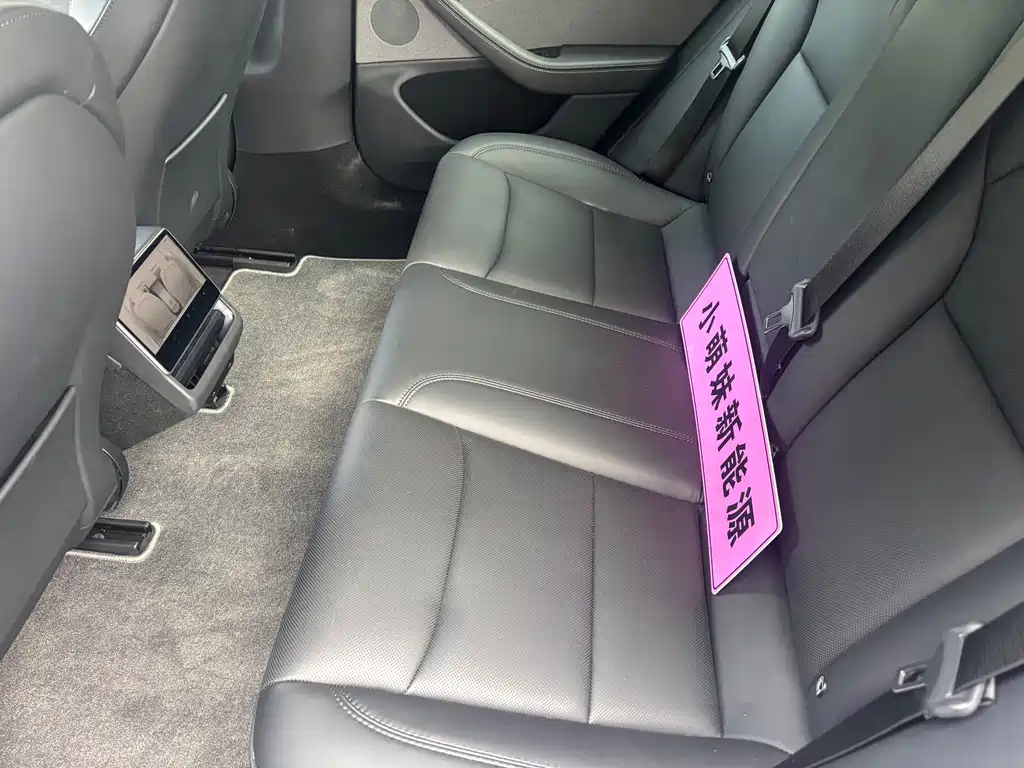 Tesla Model 3 — миниатюра 8