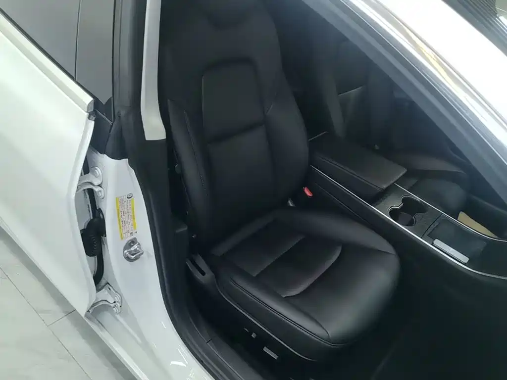 Tesla Model 3 — миниатюра 25