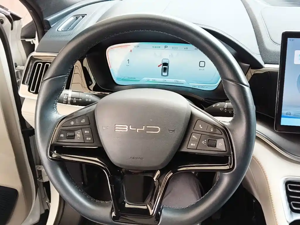 BYD PLUS New Energy — миниатюра 11