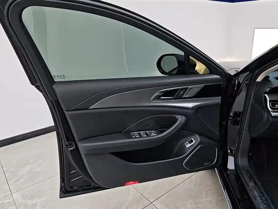 Hongqi H5 2024 2.0T AT