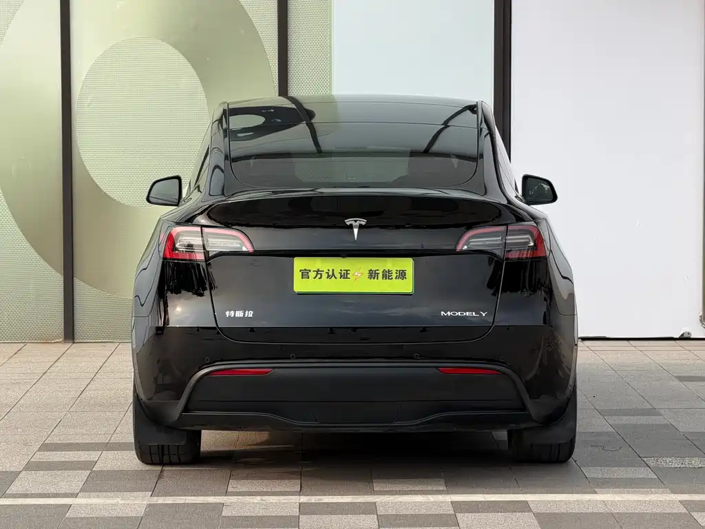 Tesla Model Y — миниатюра 5