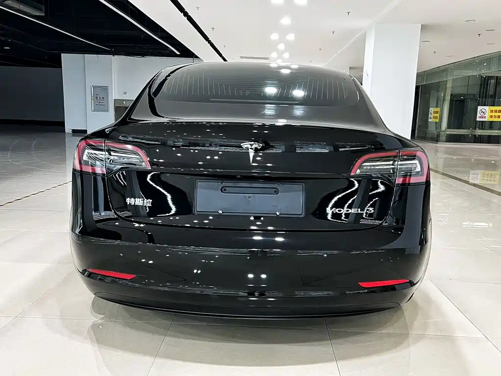 Tesla Model 3 — миниатюра 5