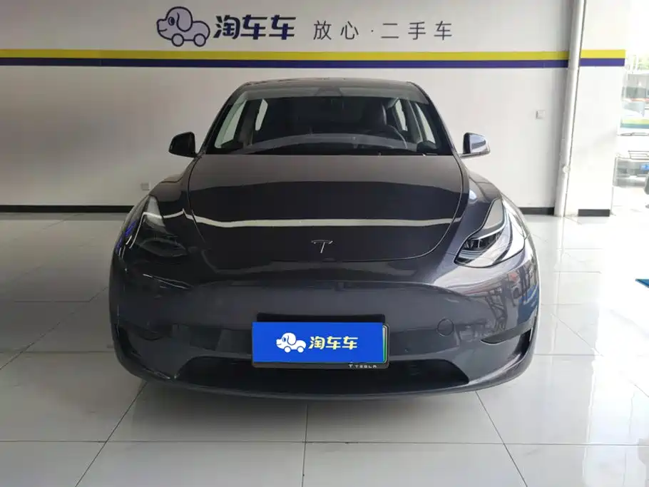 Tesla Model Y — миниатюра 2