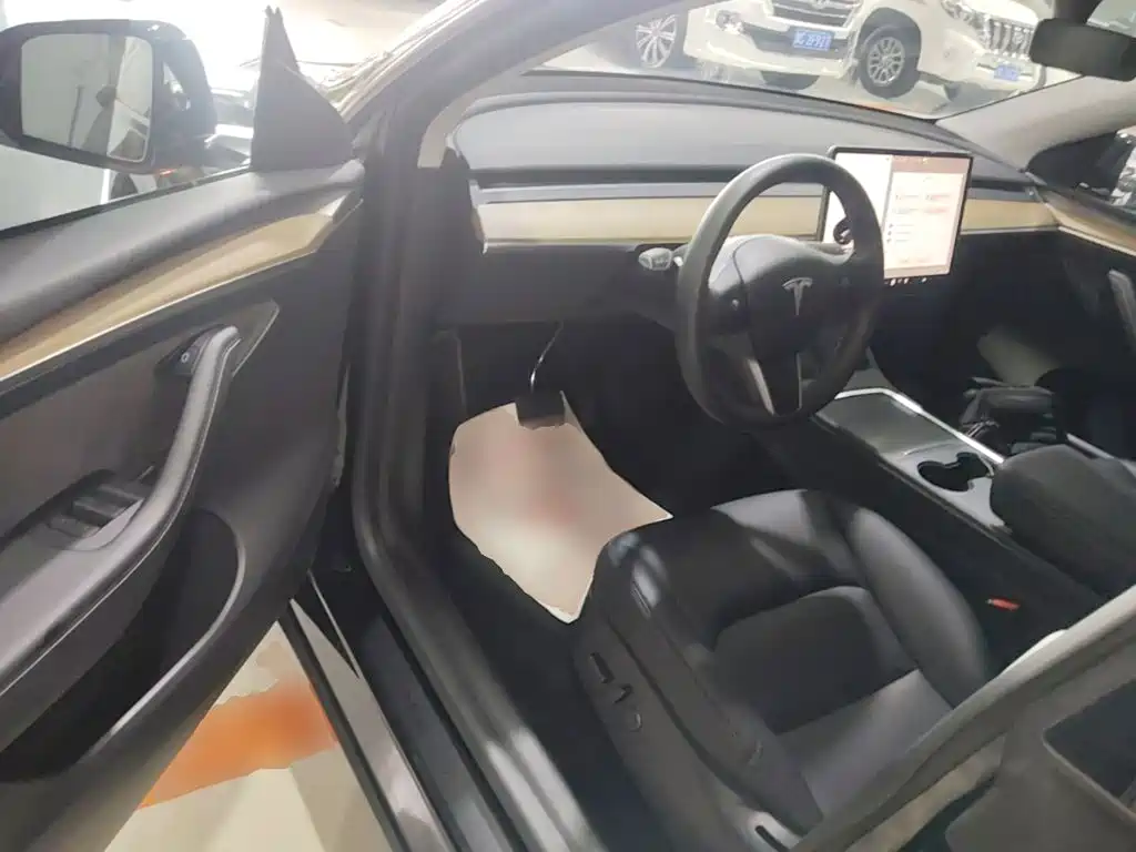 Tesla Model Y — миниатюра 16