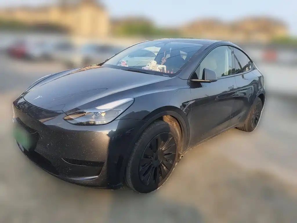 Tesla Model Y — миниатюра 2