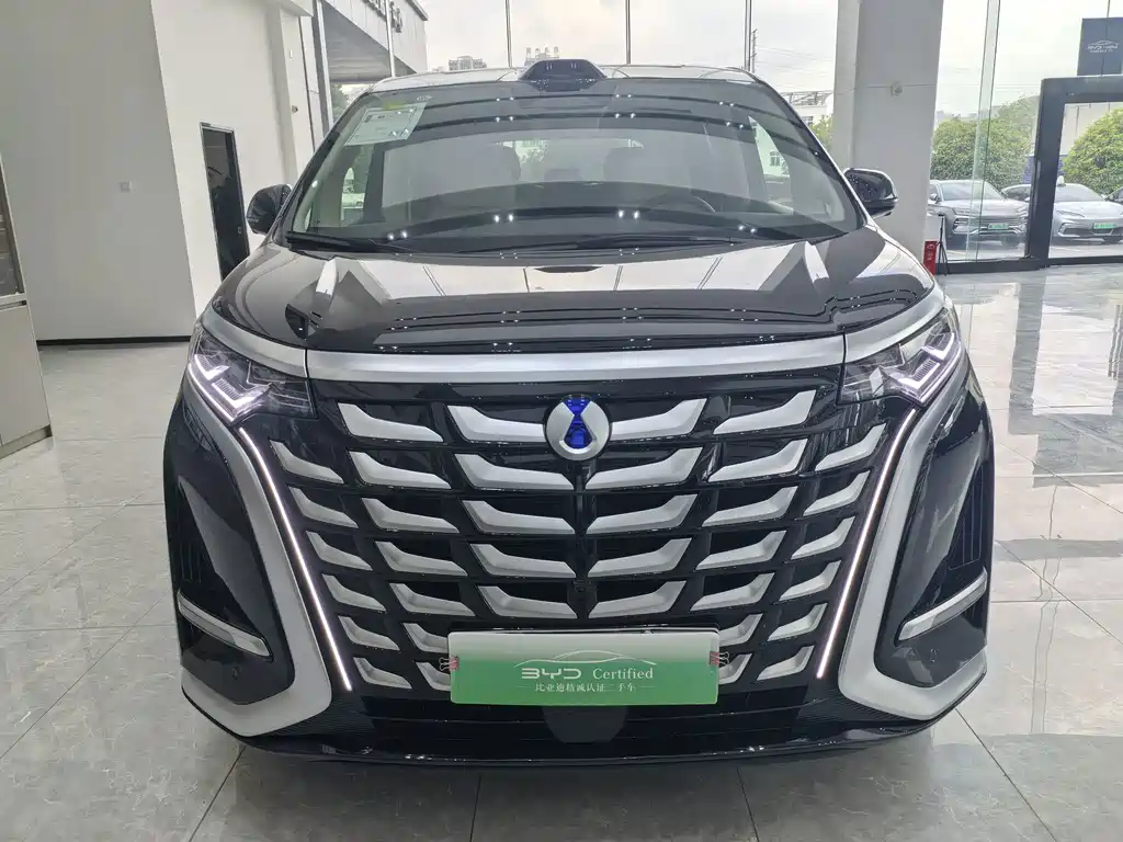 Denza Denza D9 — миниатюра 2