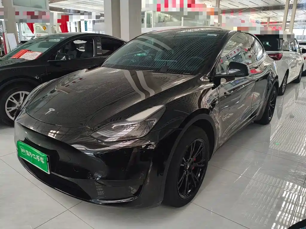 Tesla Model Y — миниатюра 2