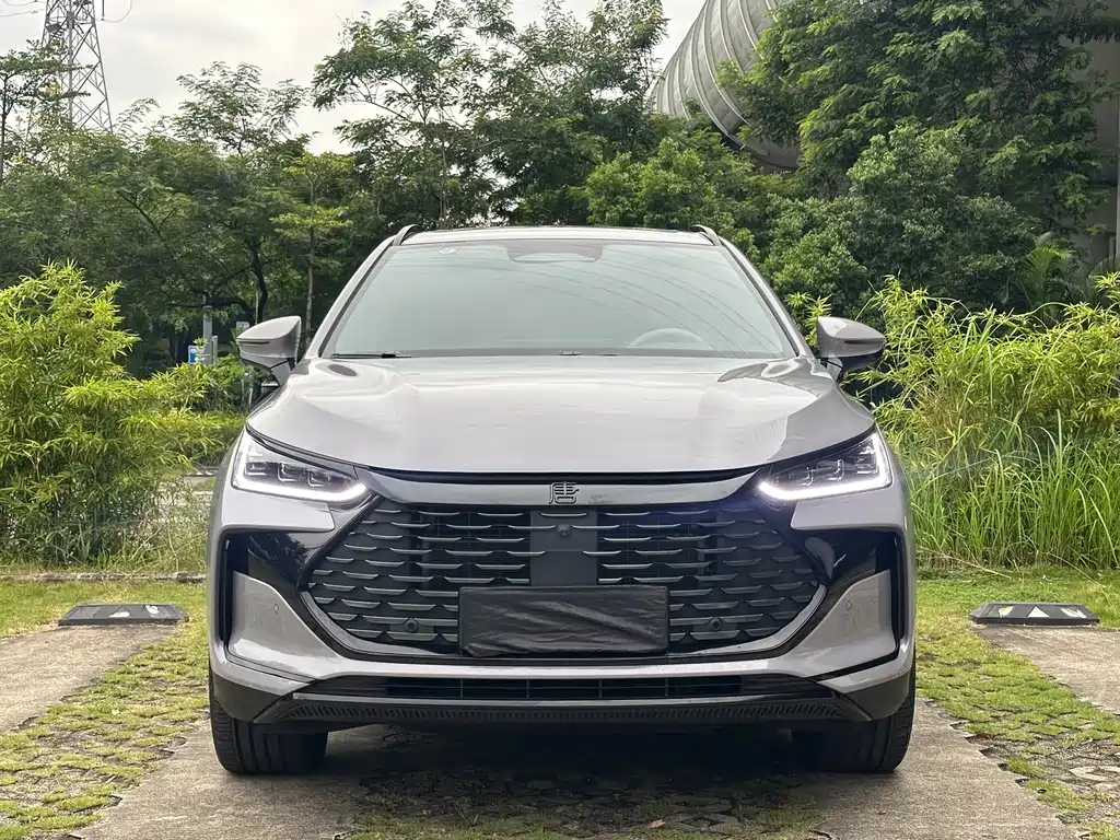 BYD Tang New Energy — миниатюра 2