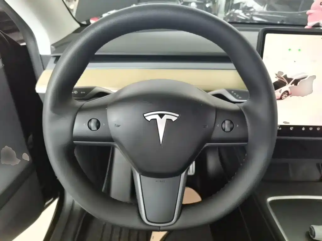 Tesla Model Y — миниатюра 11