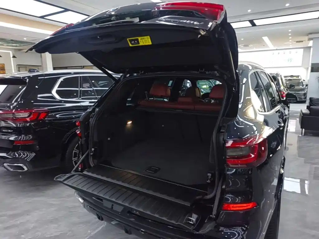 BMW X5 — миниатюра 19