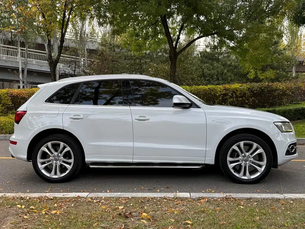 Audi SQ5 — миниатюра 16