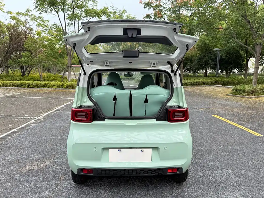 Wuling Mini EV MINIEV 2020 Enjoy