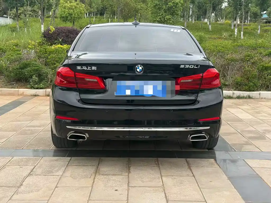 BMW 5 Series 5 2019 530Li Lead Luxury