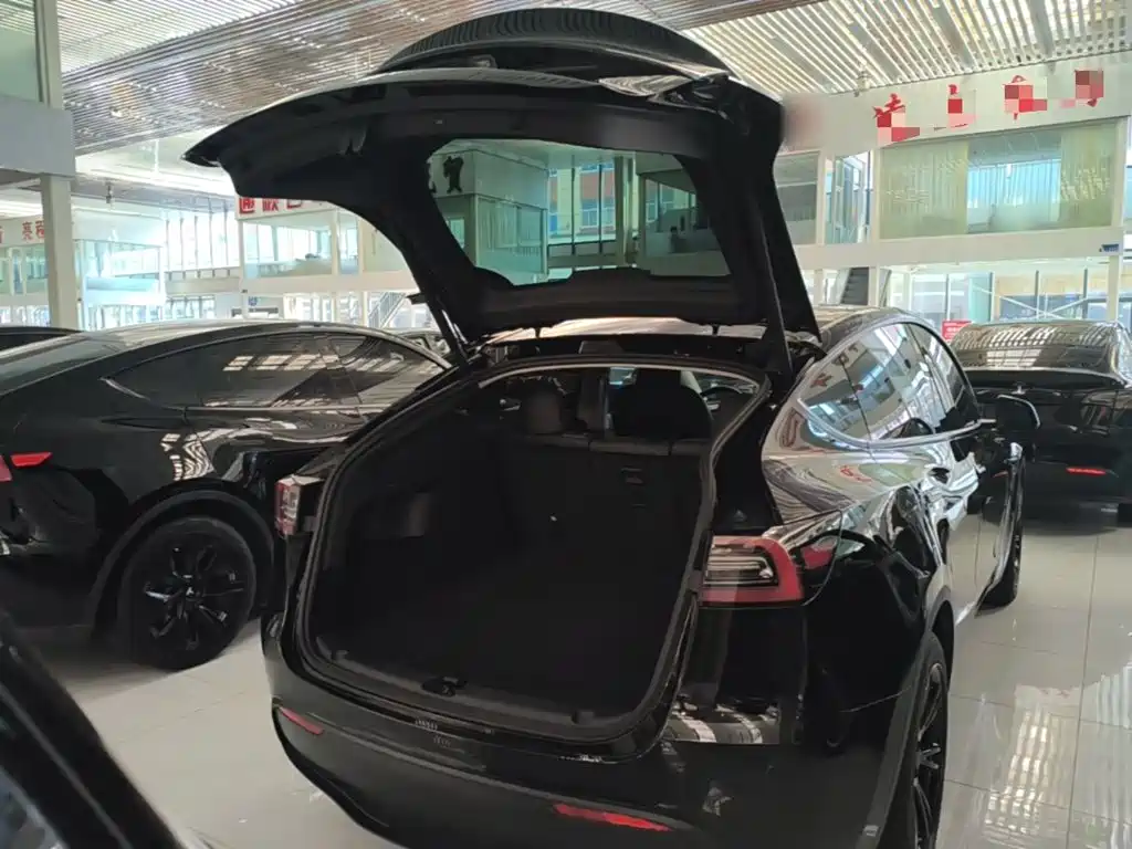 Tesla Model Y — миниатюра 19