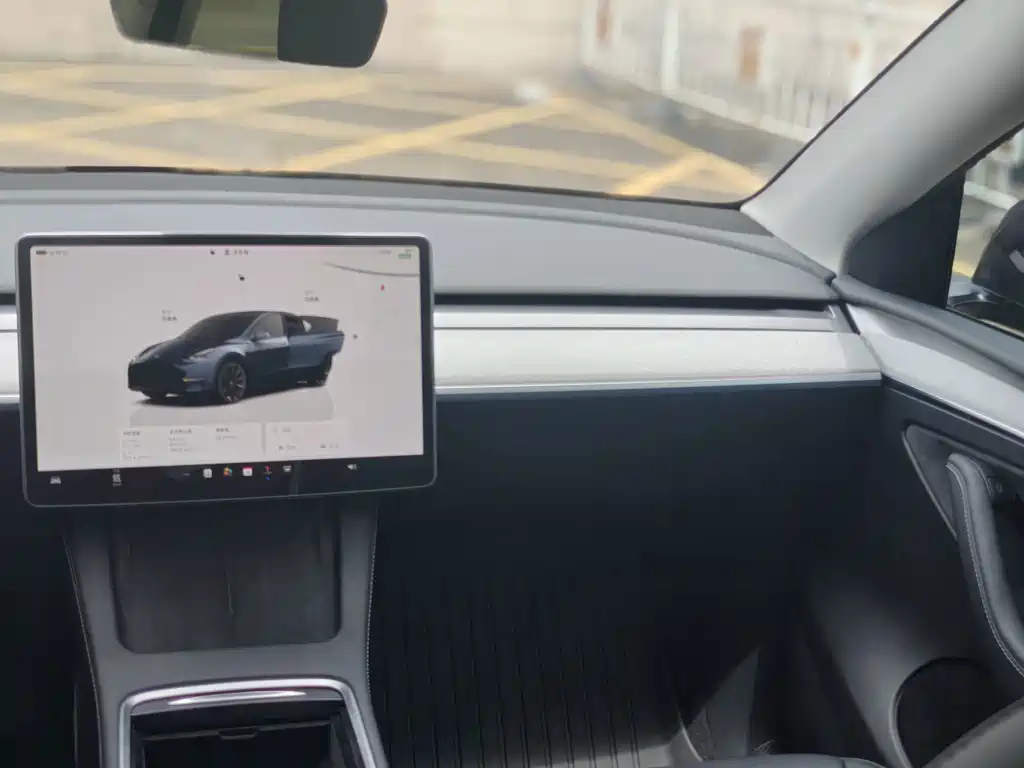 Tesla Model Y — миниатюра 7
