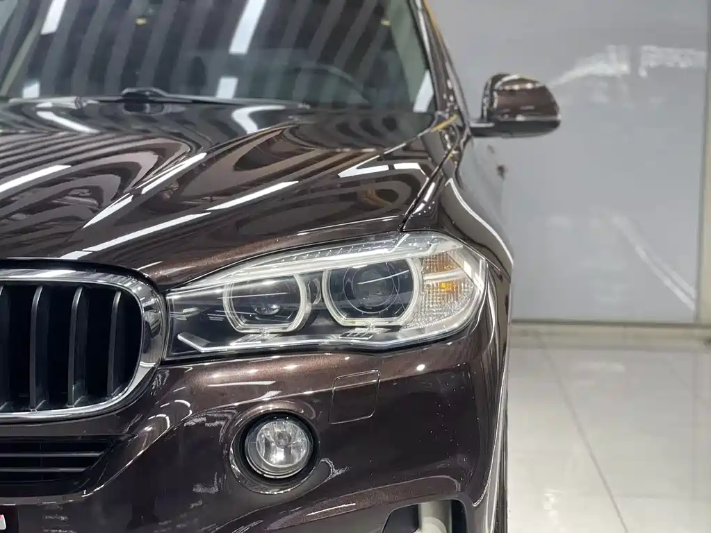 BMW X5 (Import) xDrive35i Leading Type, фото 7