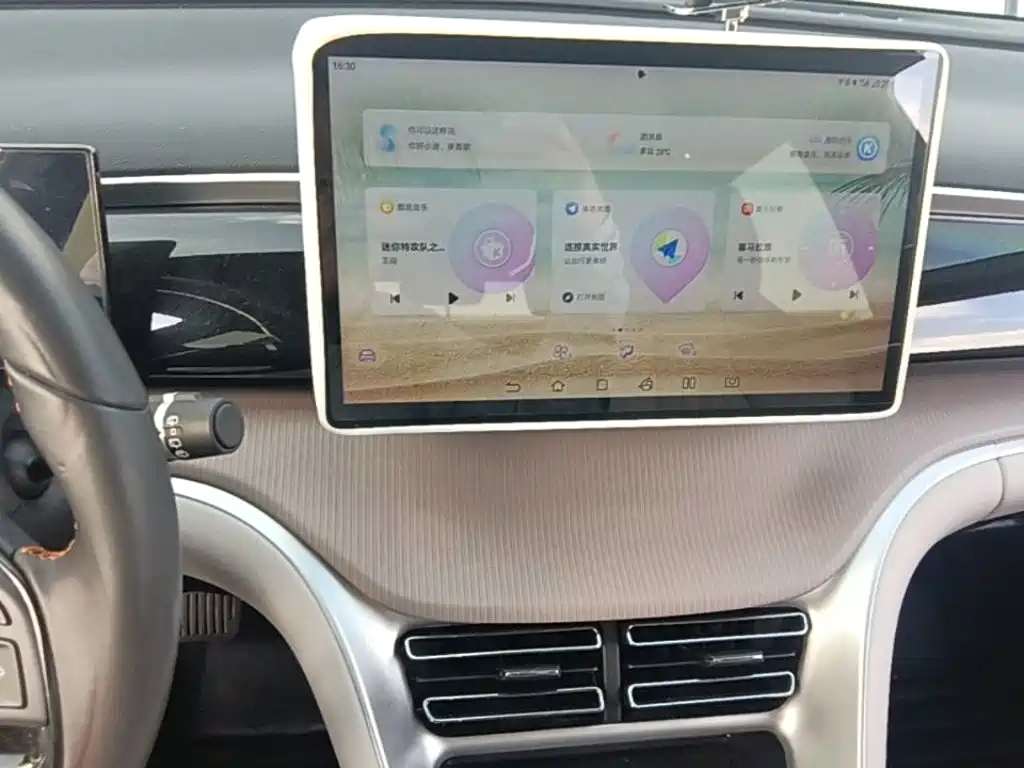 BYD Pro New Energy — миниатюра 13