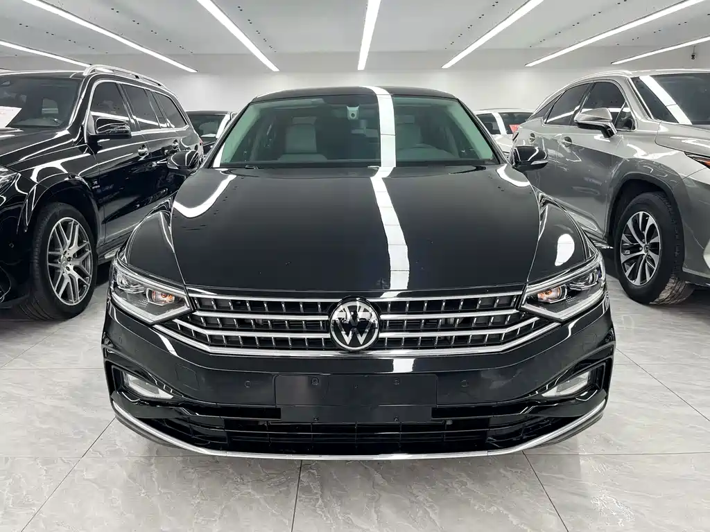 Volkswagen Magotan — миниатюра 2