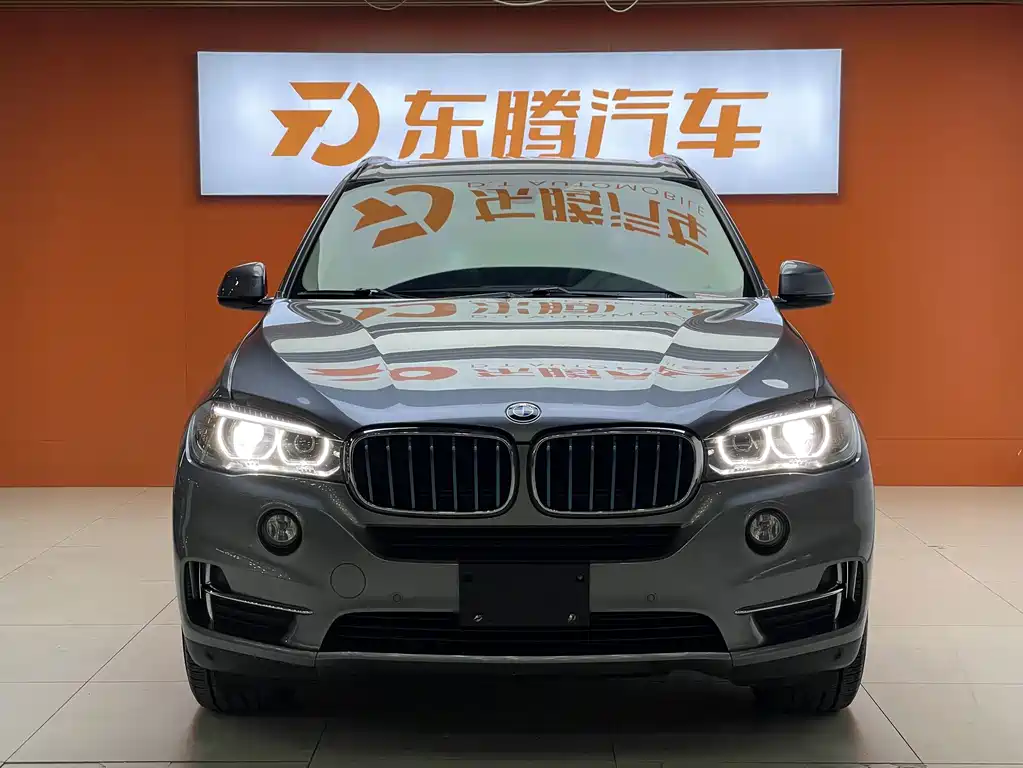 BMW X5 New Energy (Import) — миниатюра 2